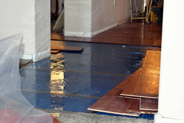 Professional Flood Damage Repair technician working in Dazey, ND
